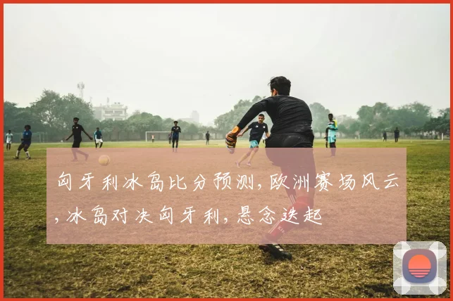 匈牙利冰岛比分预测,欧洲赛场风云,冰岛对决匈牙利,悬念迭起