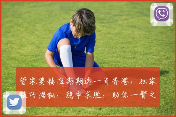 管家婆精准期期选一肖香港，独家技巧揭秘，稳中求胜，助你一臂之力