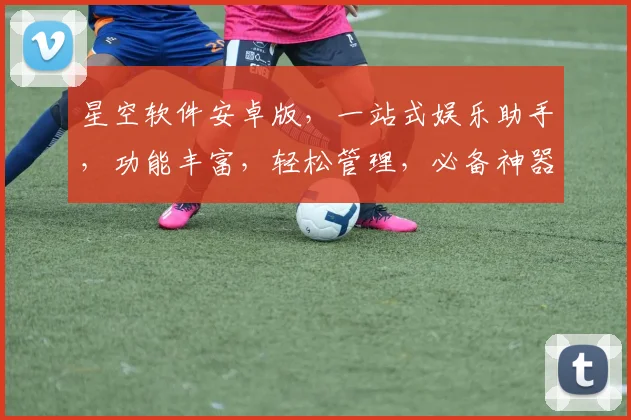 星空软件安卓版，一站式娱乐助手，功能丰富，轻松管理，必备神器，下载即享。